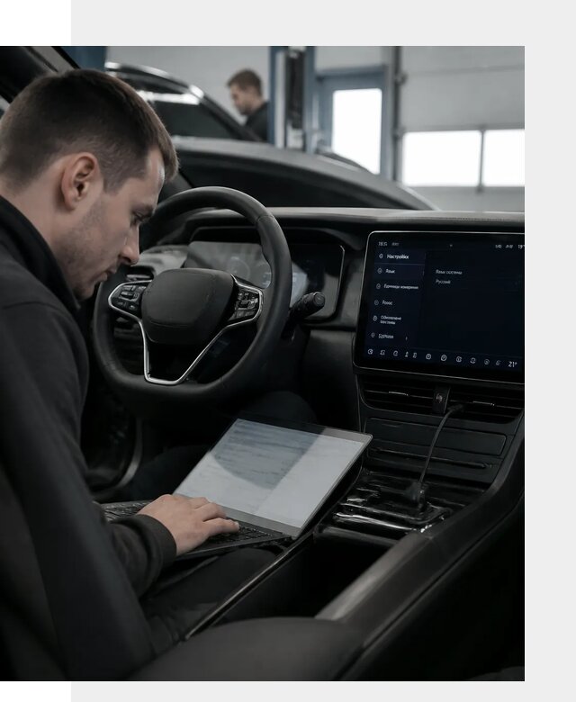 Русификация автомобилей BYD под ключ для всех моделей в Ростове