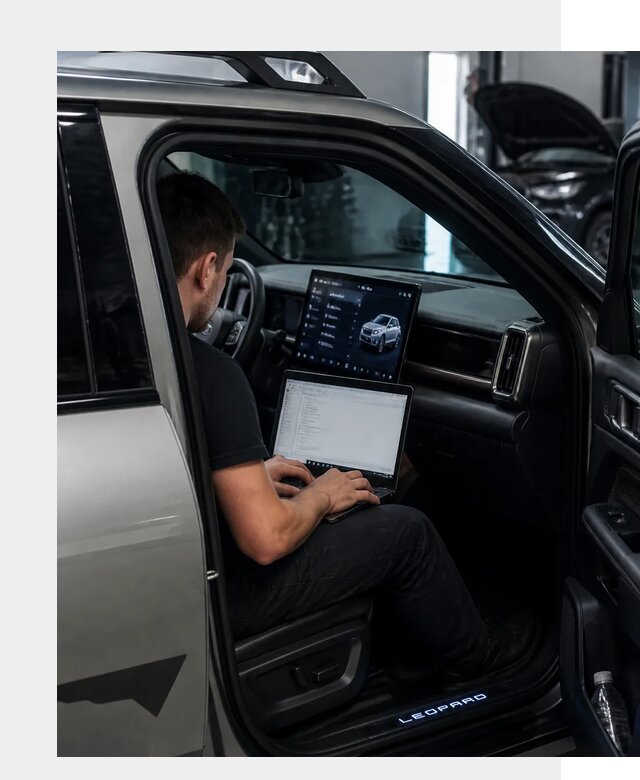 Русификация BYD Leopard 3 в Ростове по цене от 20423 р. | ФастМобиль-Рсв